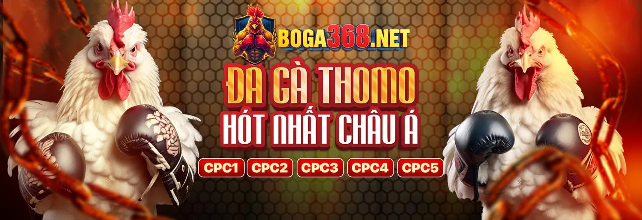 Hình ảnh chính VN999 khuyến mãi